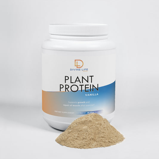 Divine Life Nutrition —Plant Protein (Vanilla)